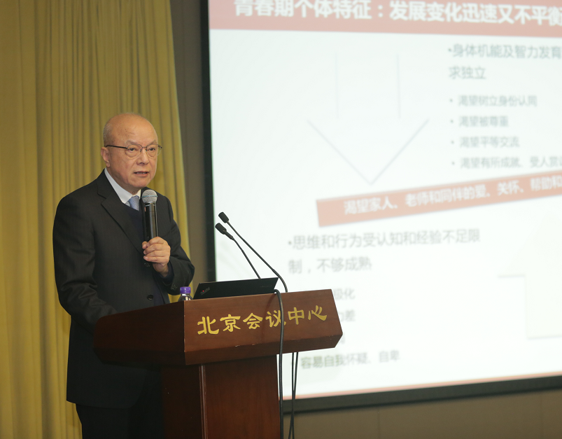 中国发展研究基金会副理事长卢迈